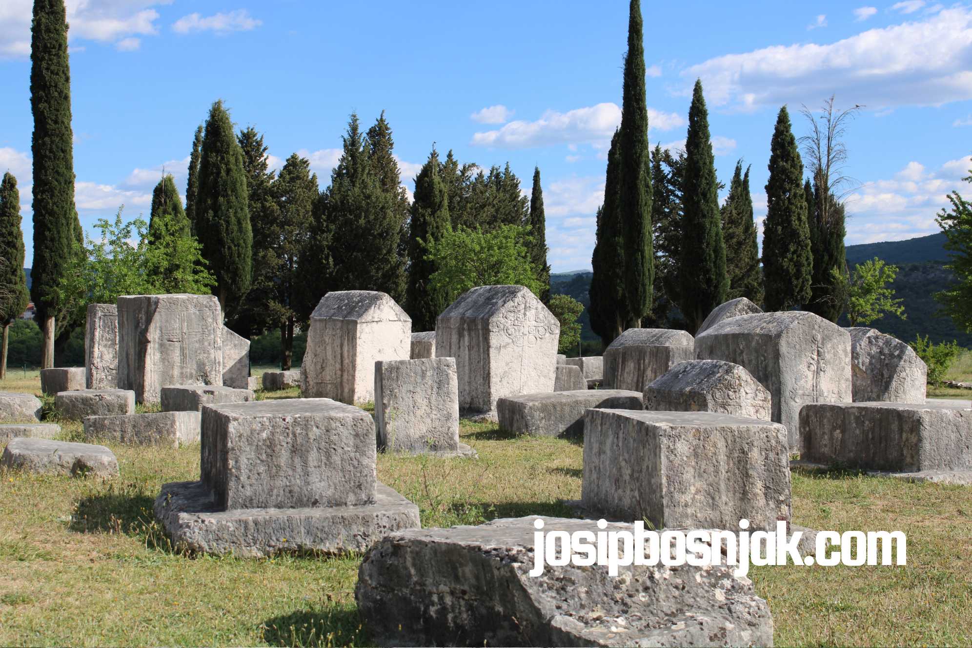 Stećci, Nekropola Radimlja